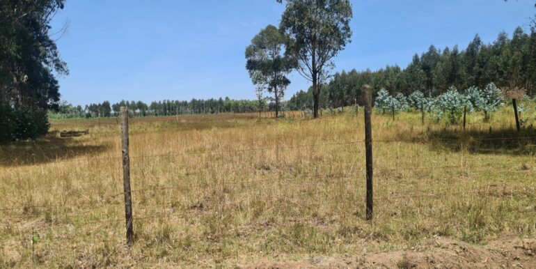 Nyandarwa Land for Lease