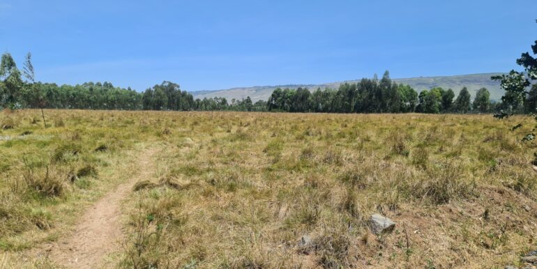 Nyandarwa Land for Lease