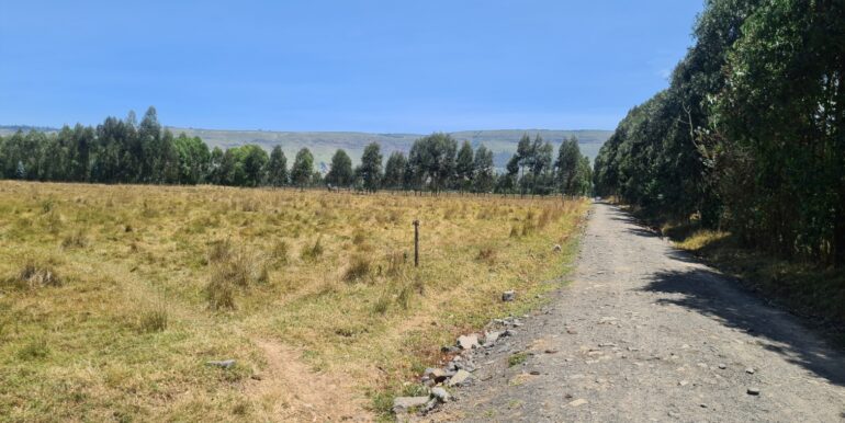 Nyandarwa Land for Lease