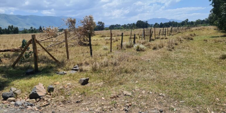Nyandarwa Land for Lease