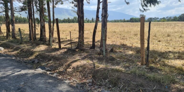 Nyandarwa Land for Lease