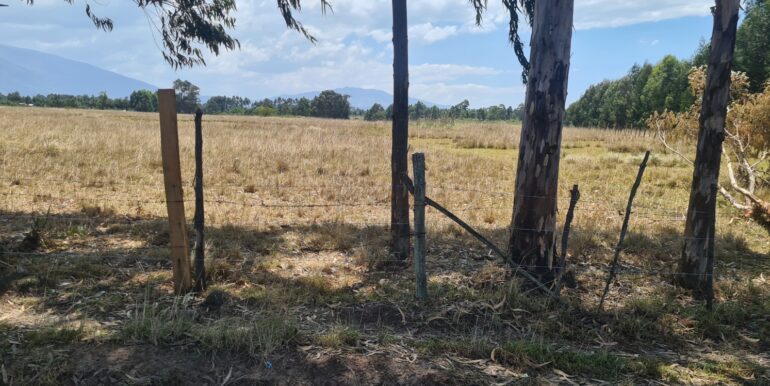 Nyandarwa Land for Lease