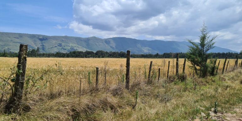 Nyandarwa Land for Lease