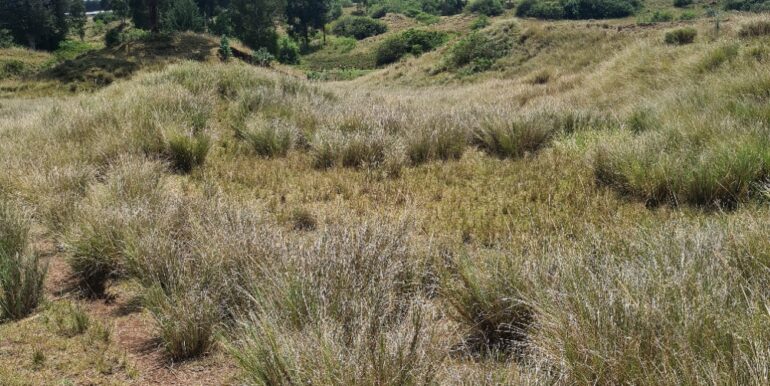 Nyandarwa Land for Lease