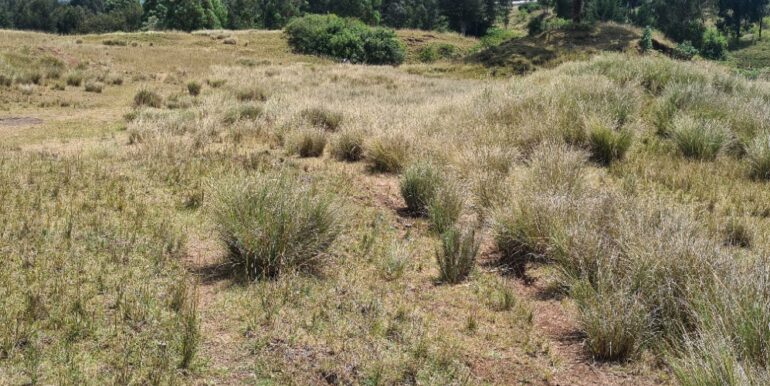 Nyandarwa Land for Lease