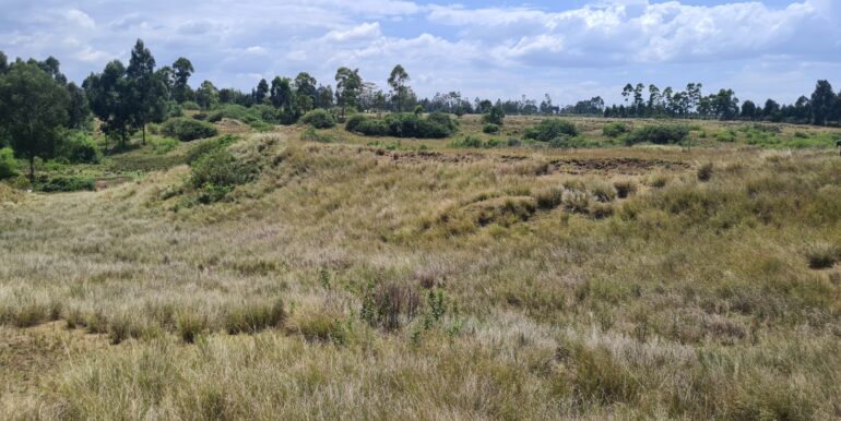Nyandarwa Land for Lease