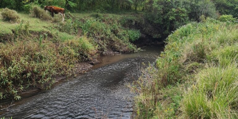 Nyandarwa Land for Lease