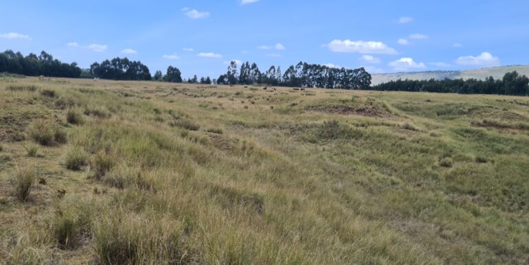 Nyandarwa Land for Lease