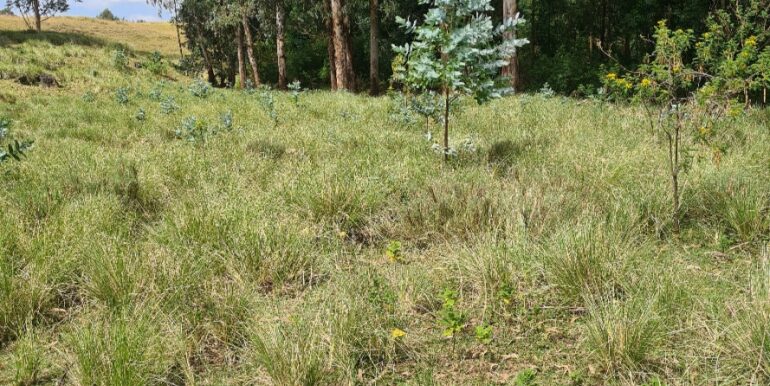 Nyandarwa Land for Lease