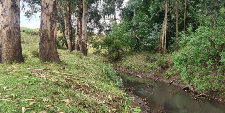 Nyandarwa Land for Lease