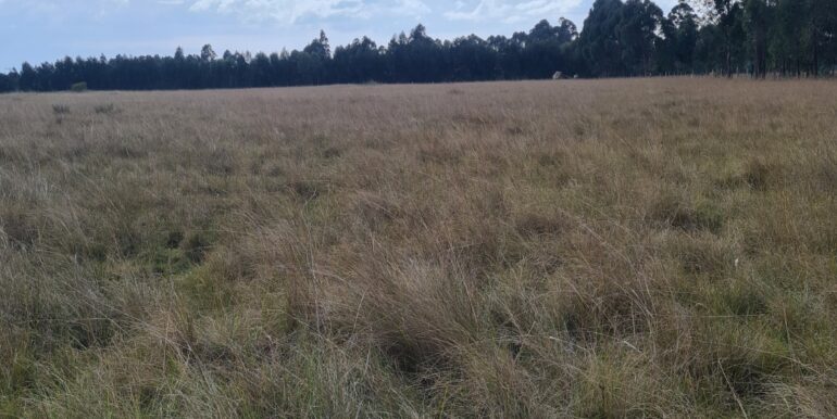 Nyandarwa Land for Lease
