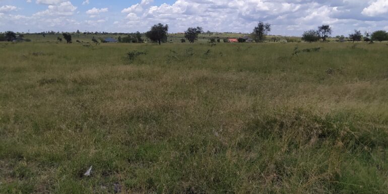 Kajiado Plot for Sale