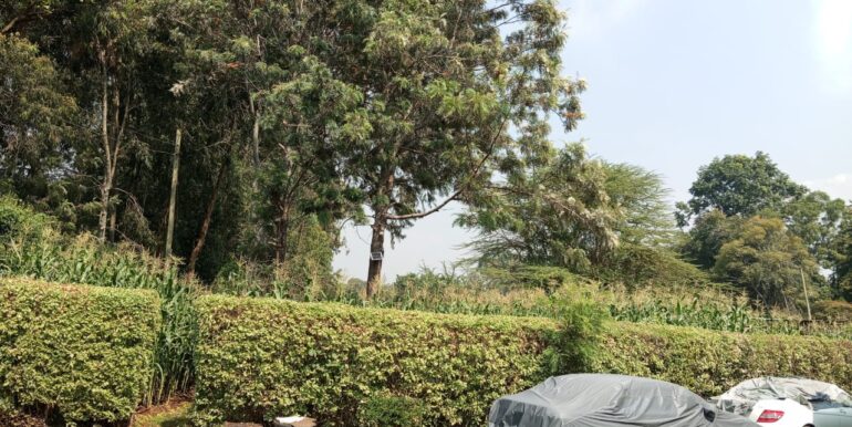 Thome Estate Townhouse